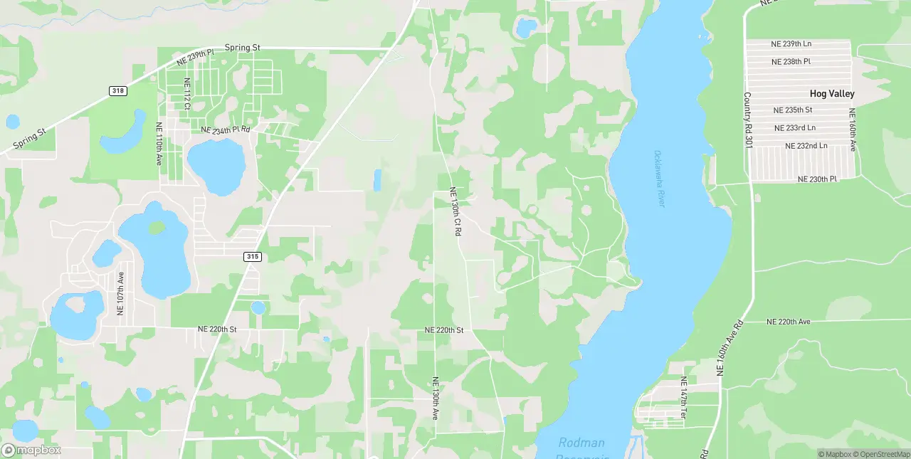 Internet in Orange Springs