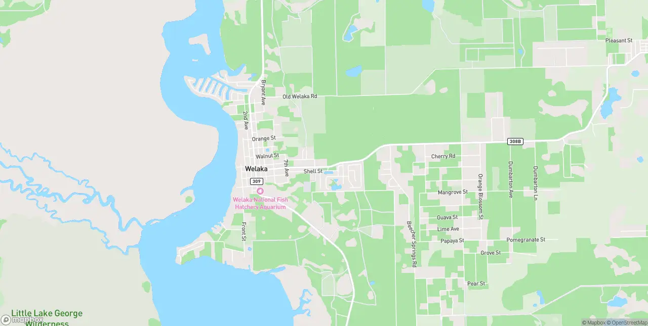 Internet in Welaka