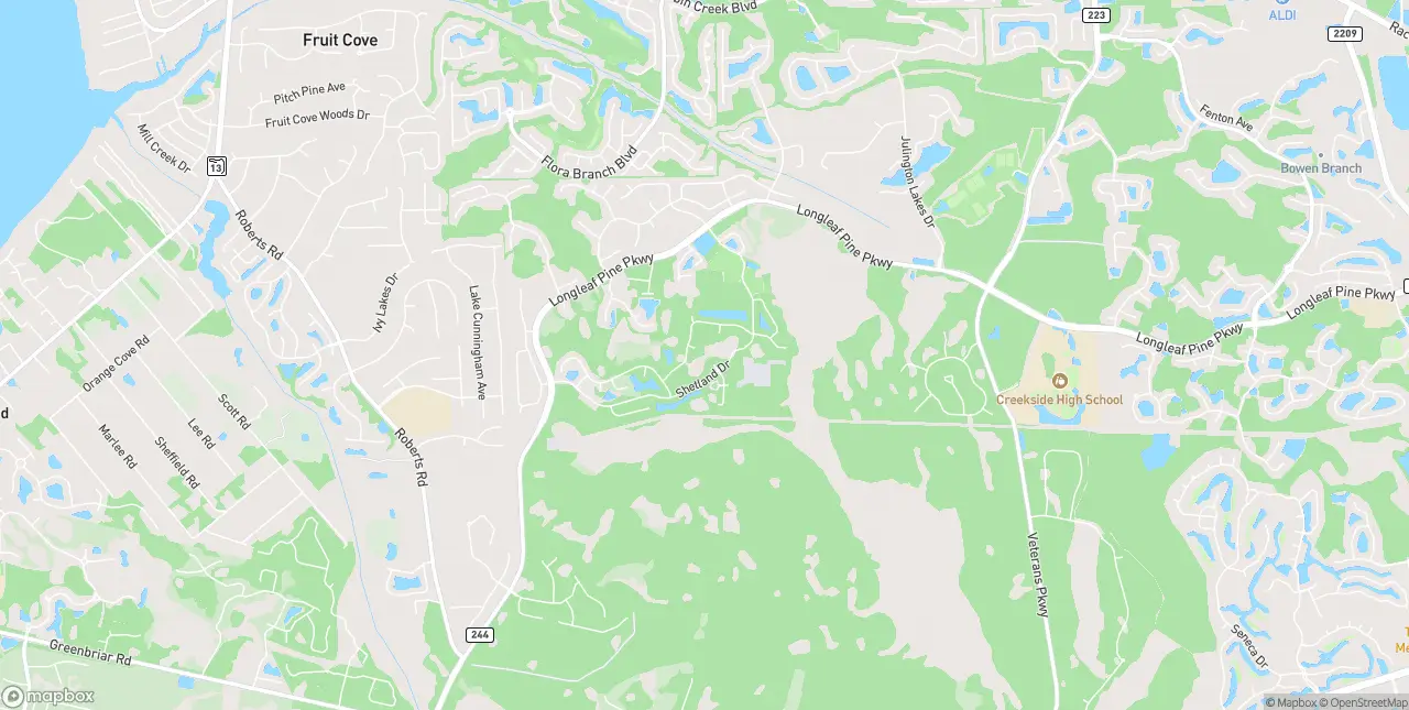 Internet in Saint Johns