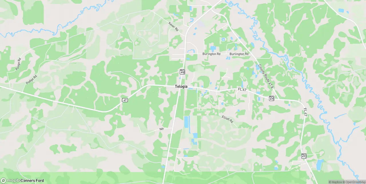 Internet in Telogia