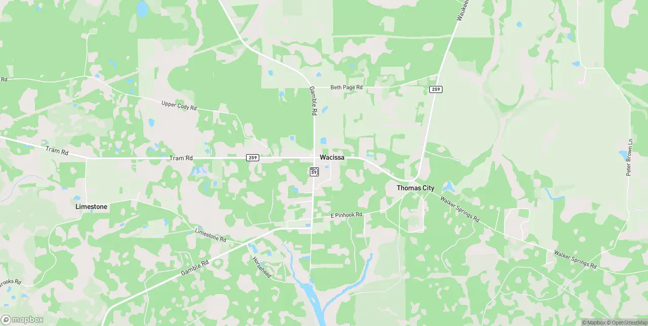 Internet in Wacissa
