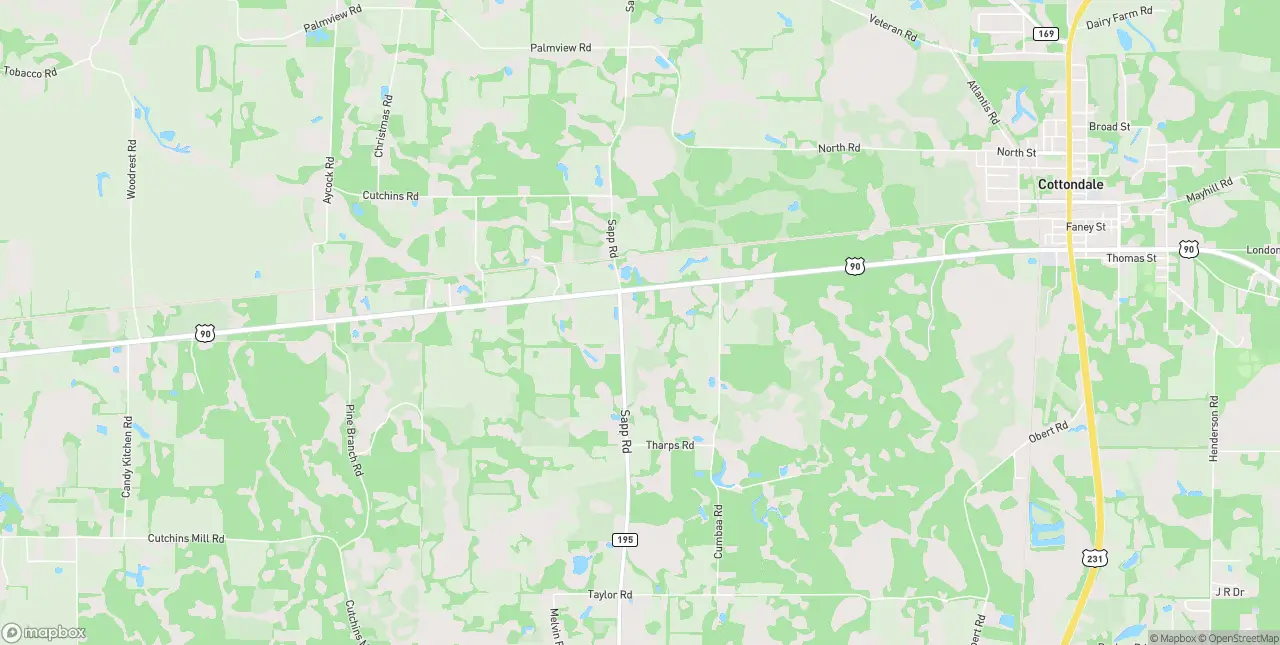 Internet in Cottondale
