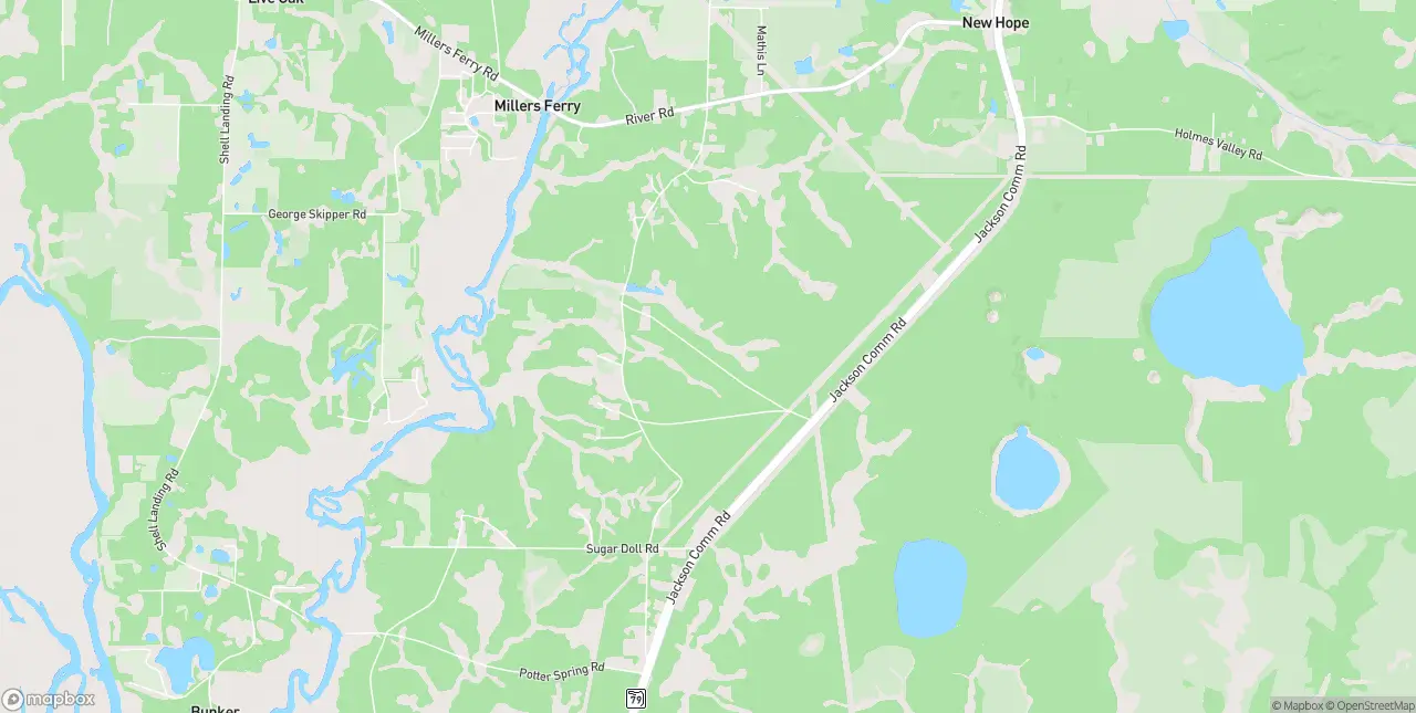 Internet in Vernon