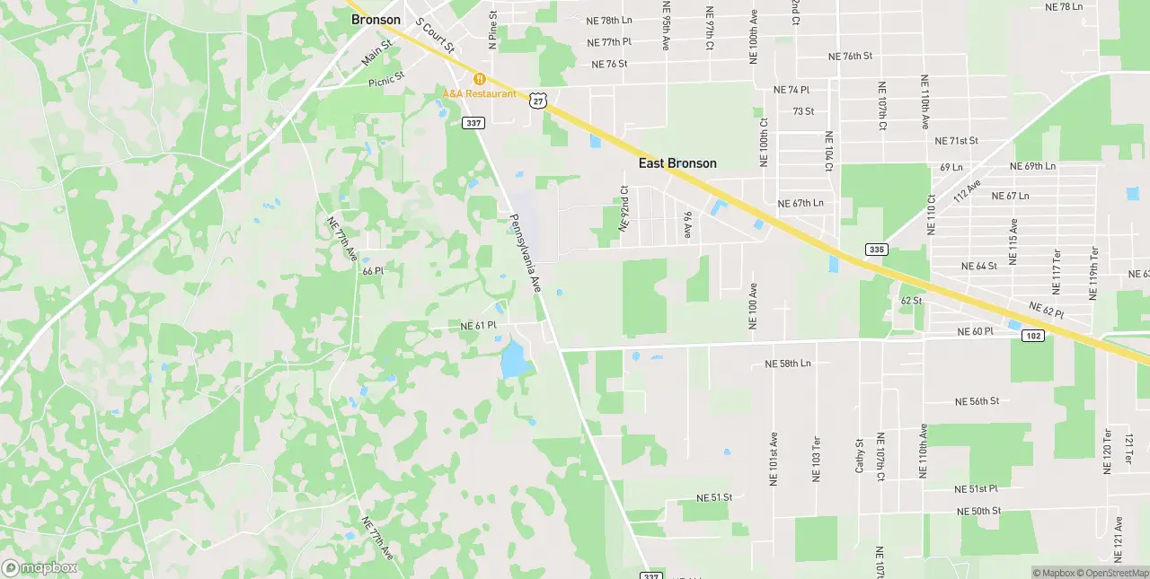 Internet in Bronson