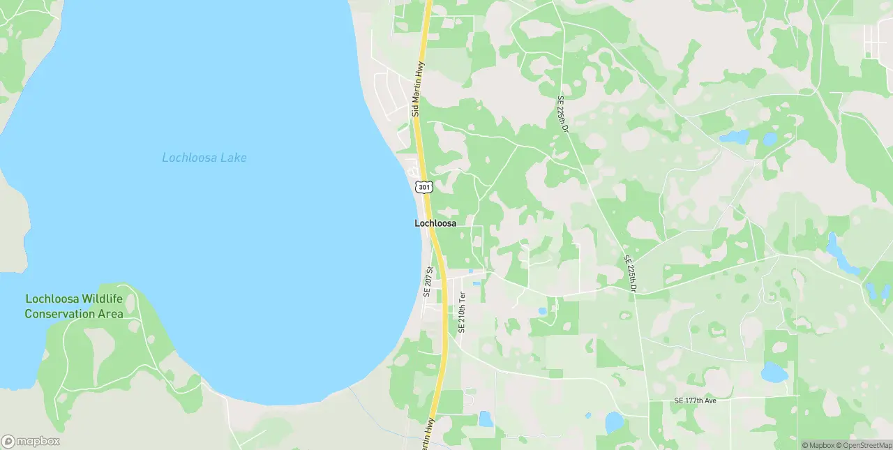 Internet in Lochloosa
