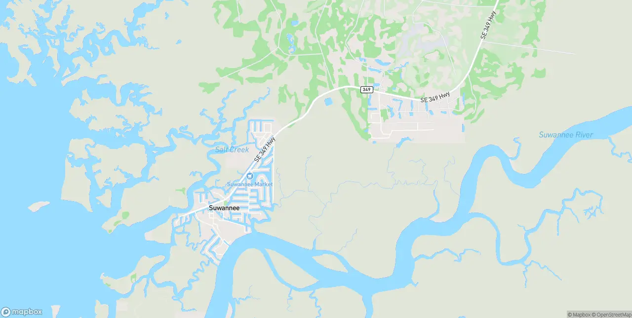 Internet in Suwannee
