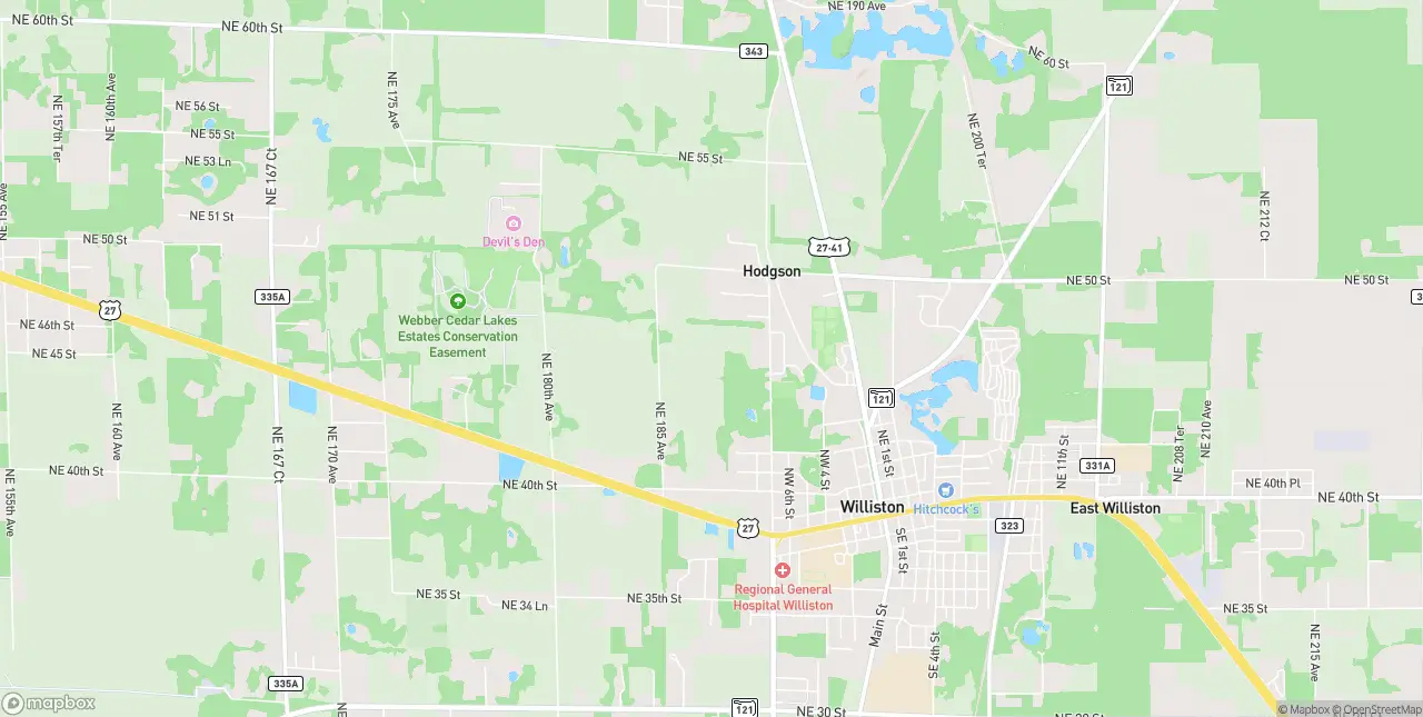 Internet in Williston