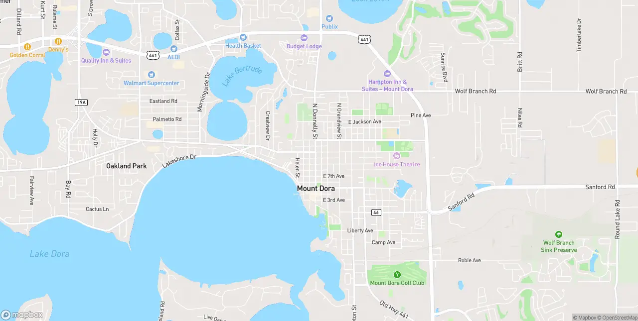 Internet in Mount Dora