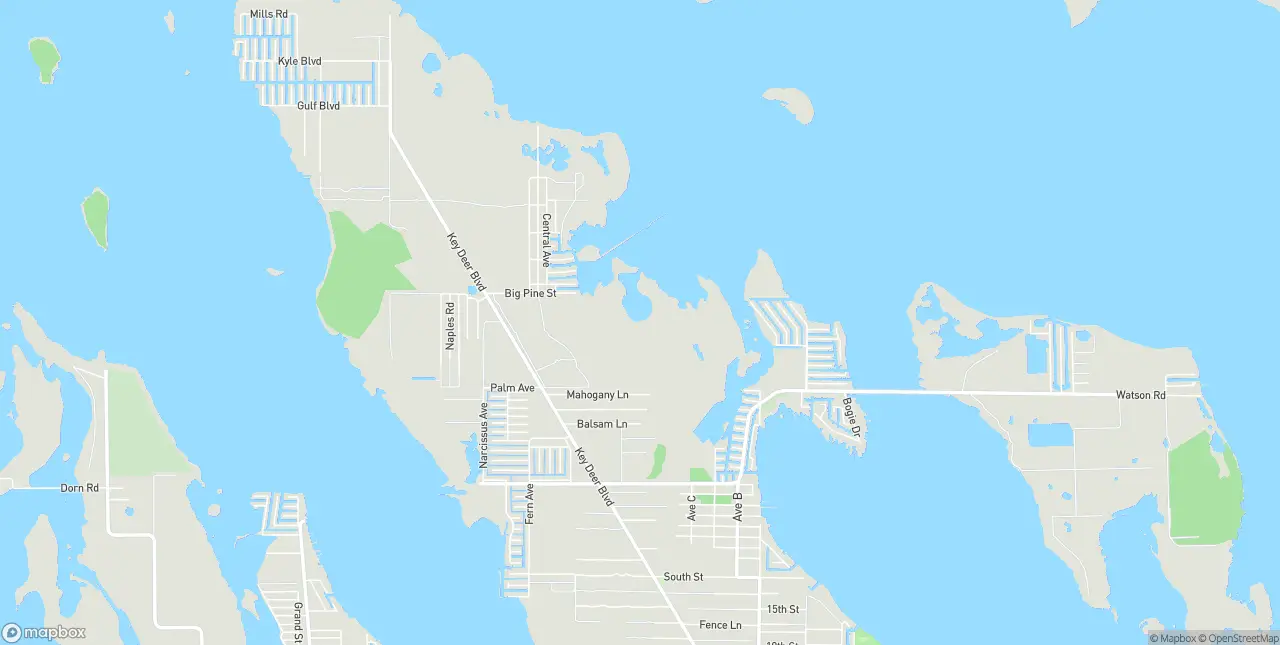 Internet in Big Pine Key