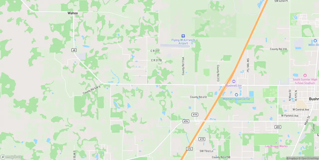 Internet in Bushnell