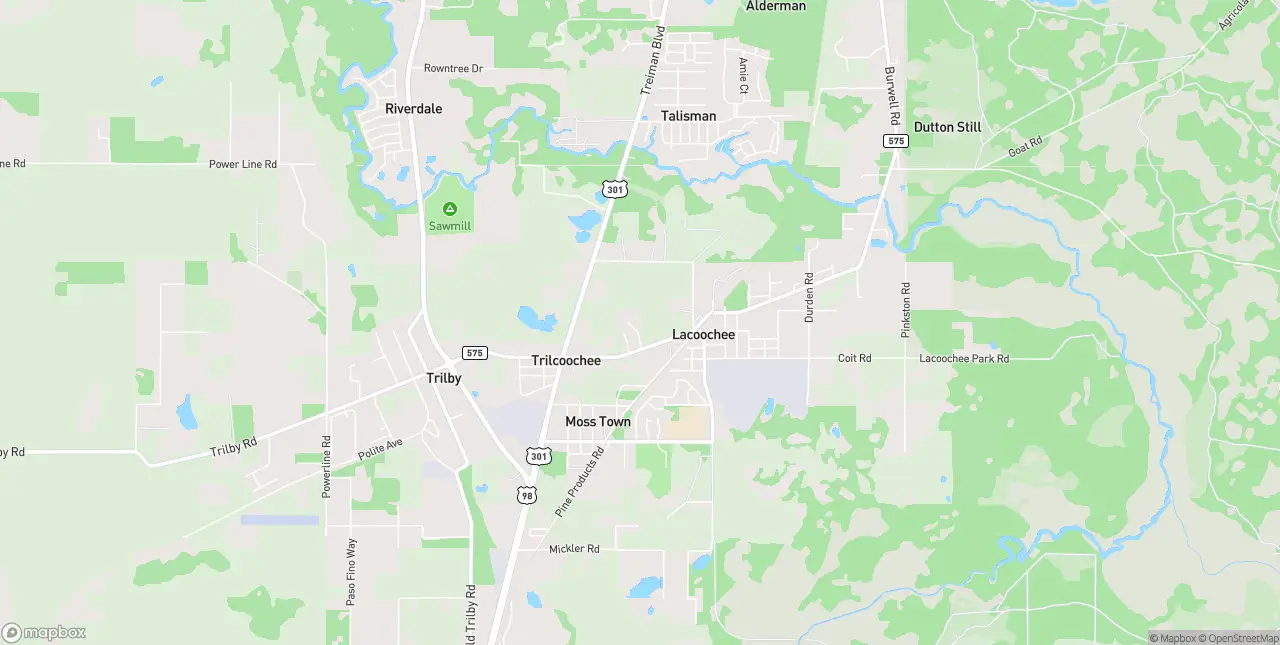 Internet in Lacoochee