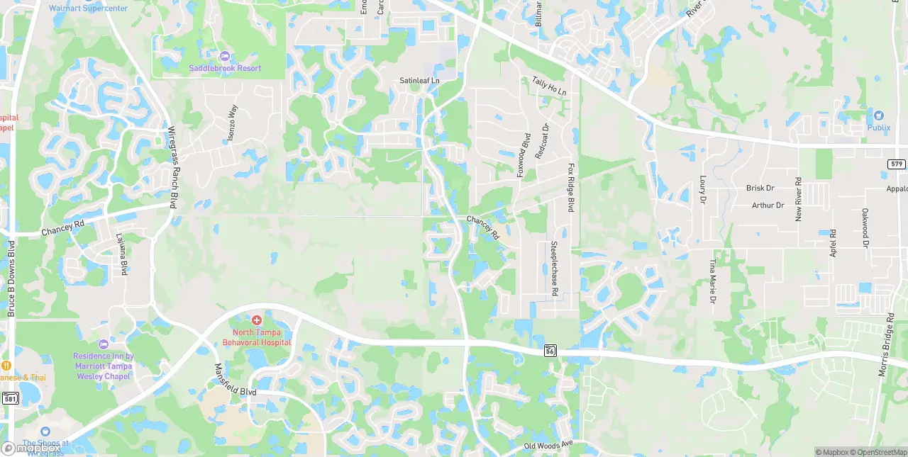 Internet in Wesley Chapel