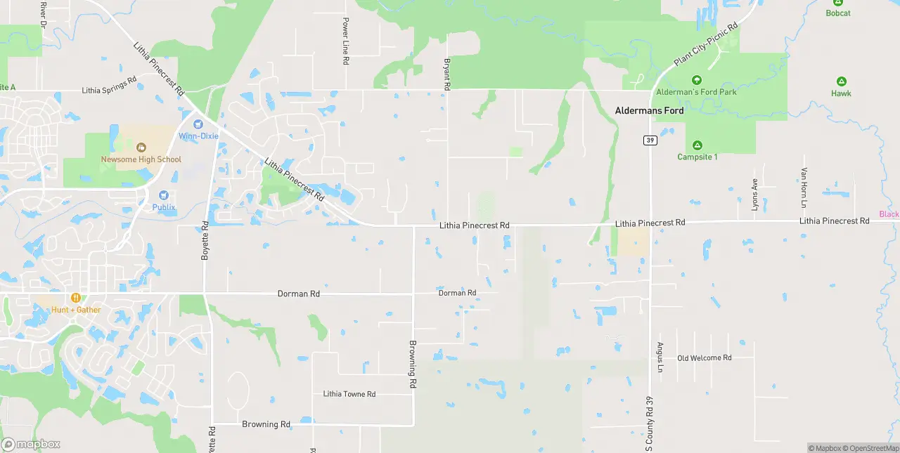Internet in Lithia