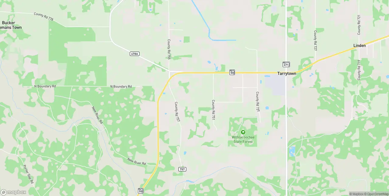 Internet in Webster