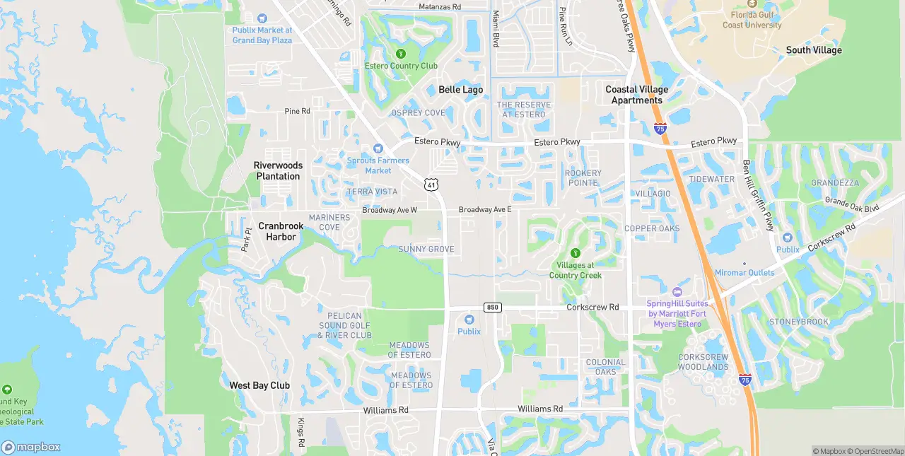 Internet in Estero