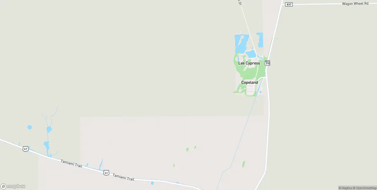 Internet in Copeland