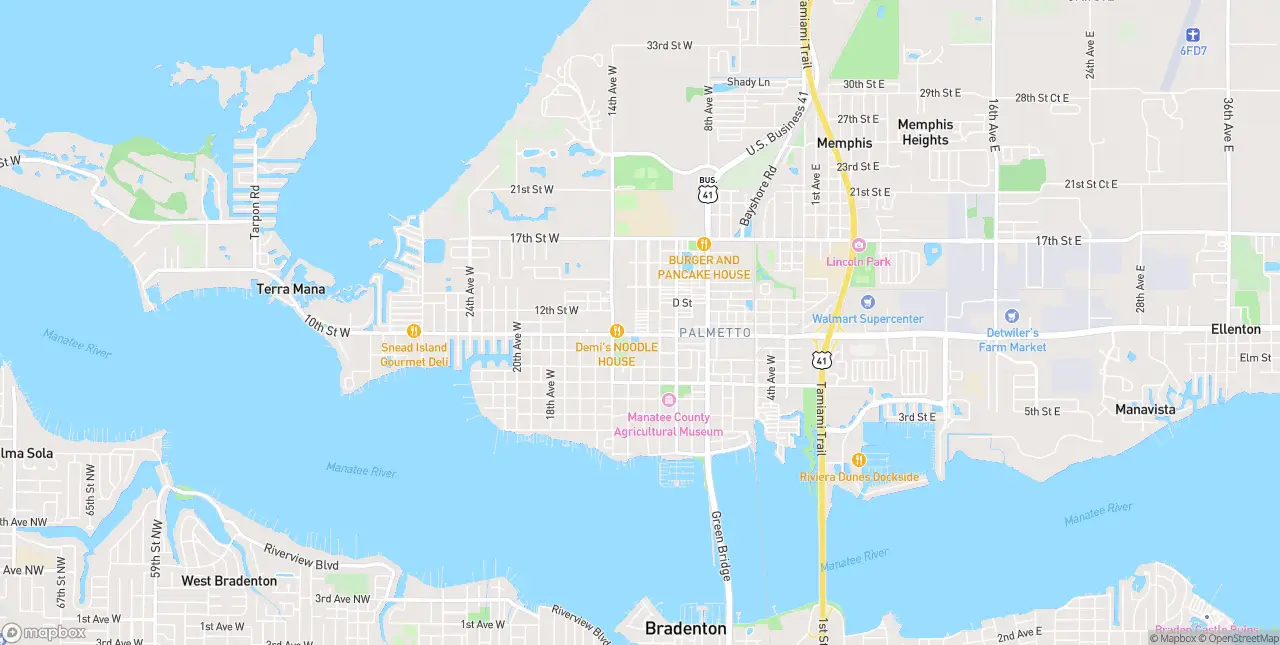 Internet in Palmetto