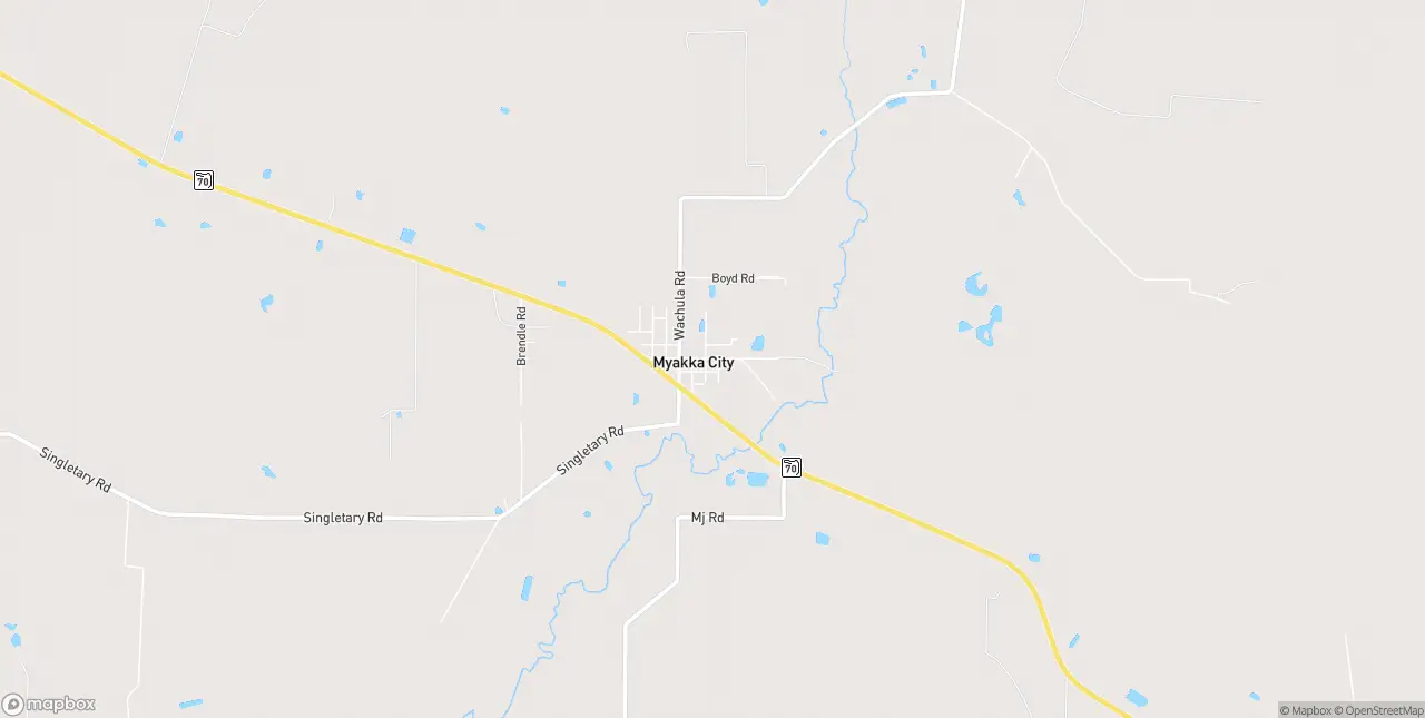 Internet in Myakka City