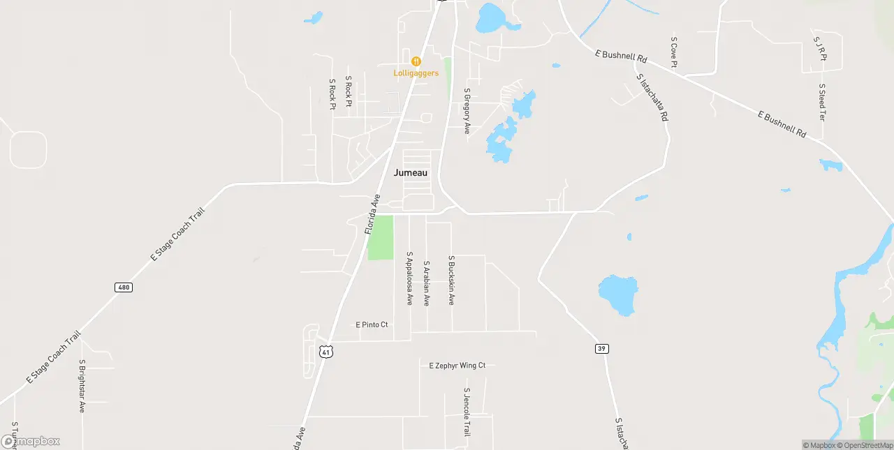 Internet in Floral City