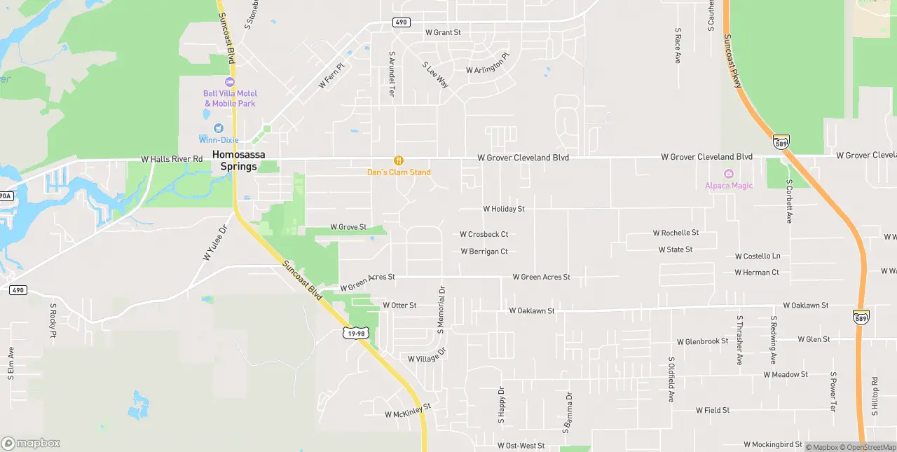 Internet in Homosassa Springs