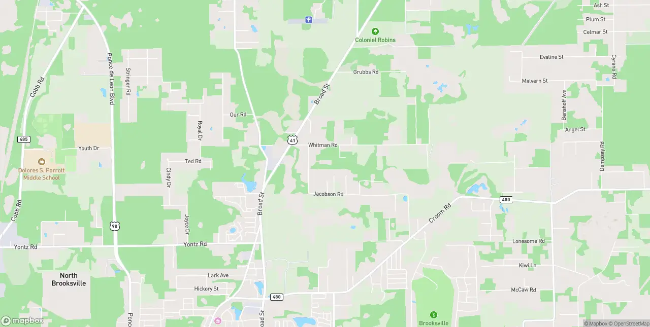 Internet in Brooksville