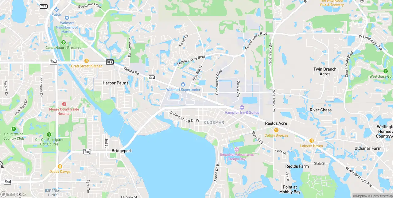 Internet in Oldsmar