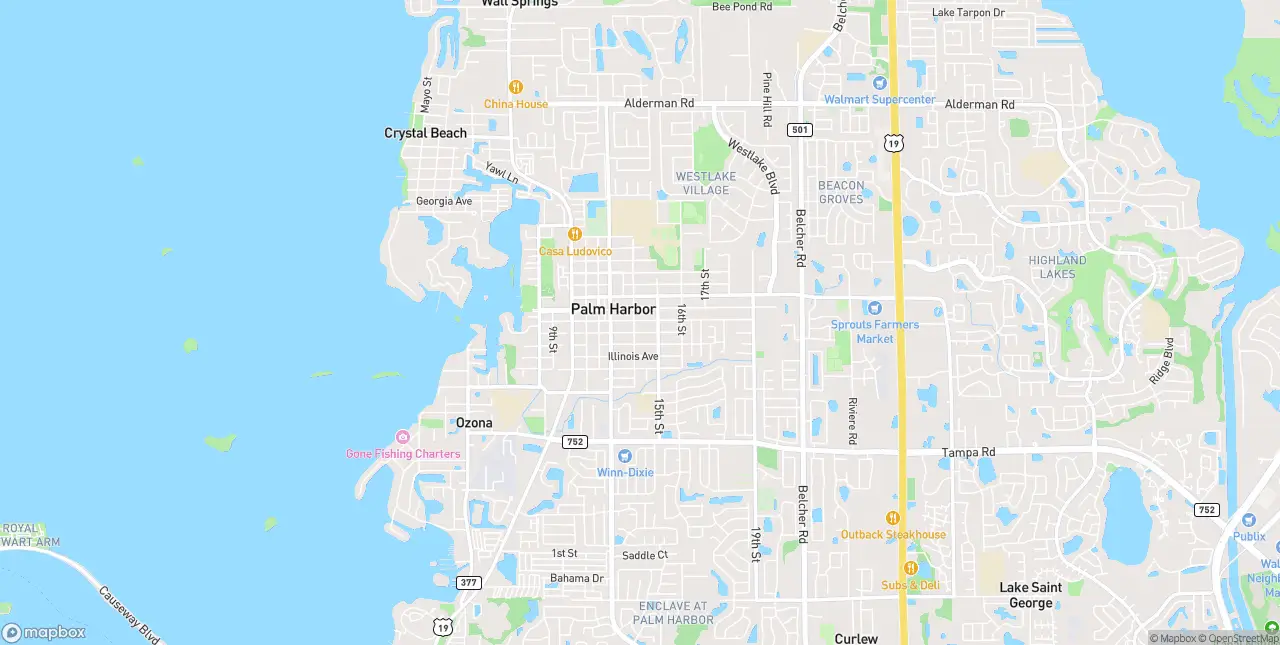 Internet in Palm Harbor
