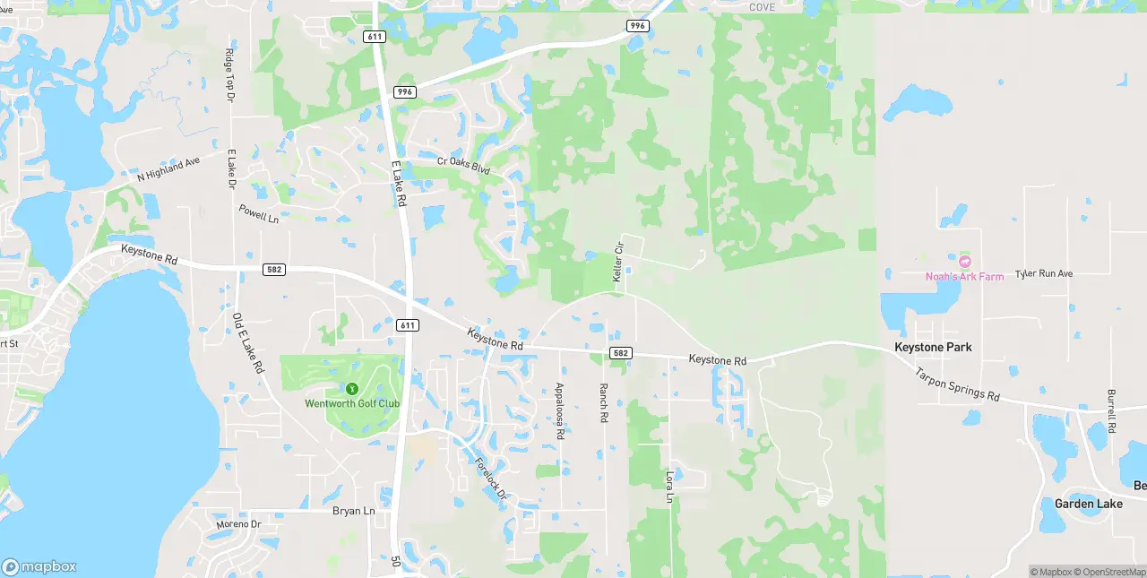 Internet in Tarpon Springs