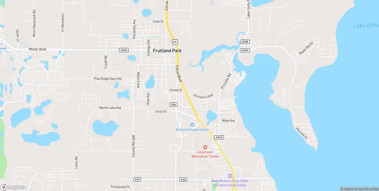 Internet in Fruitland Park