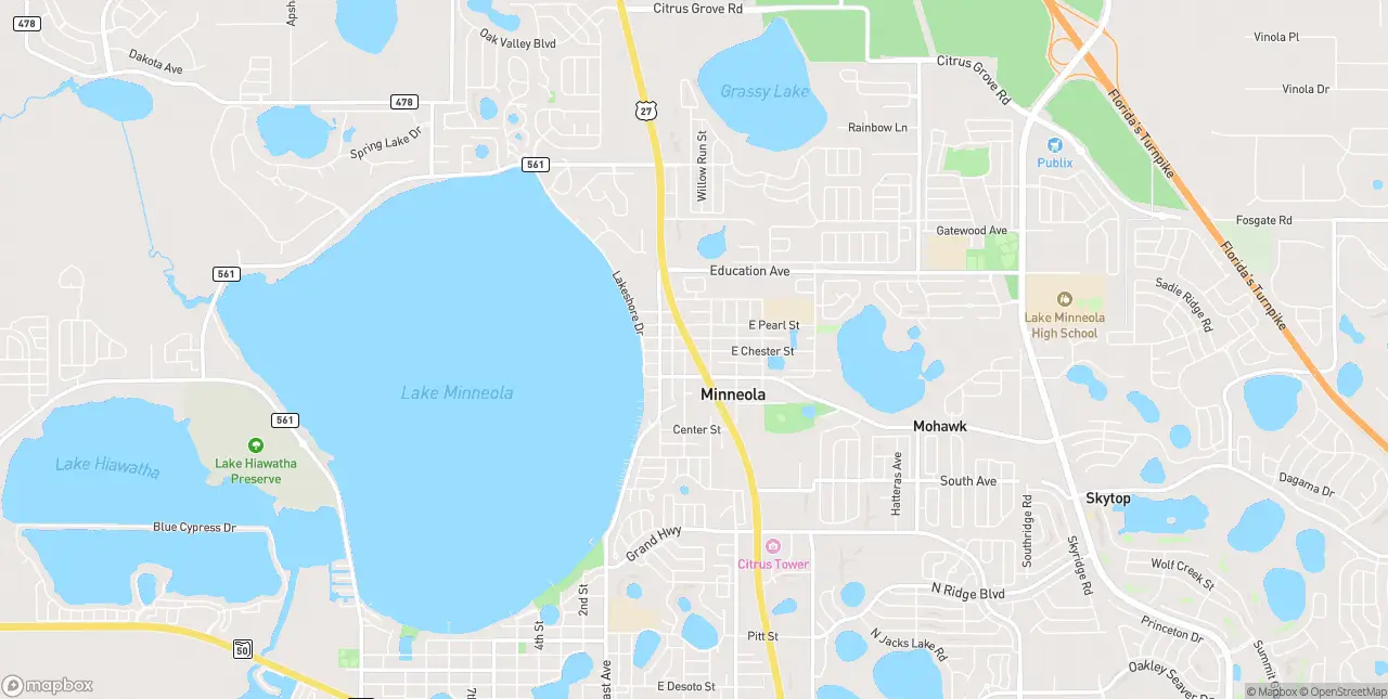 Internet in Minneola