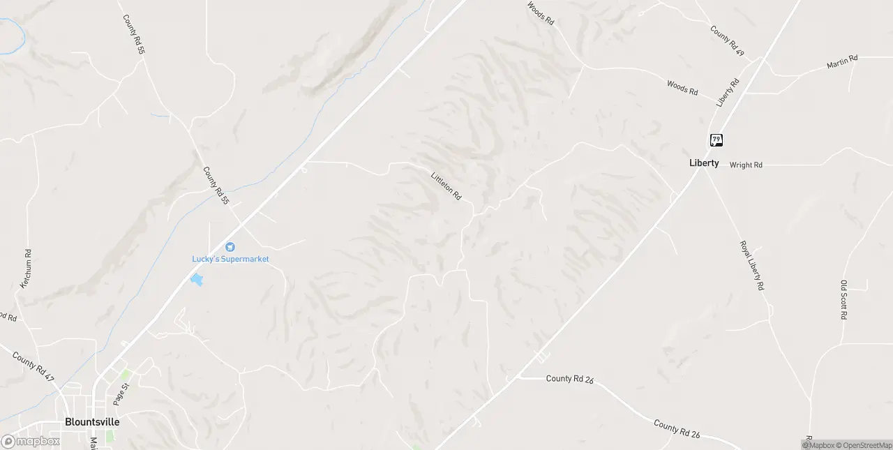 Internet in Blountsville