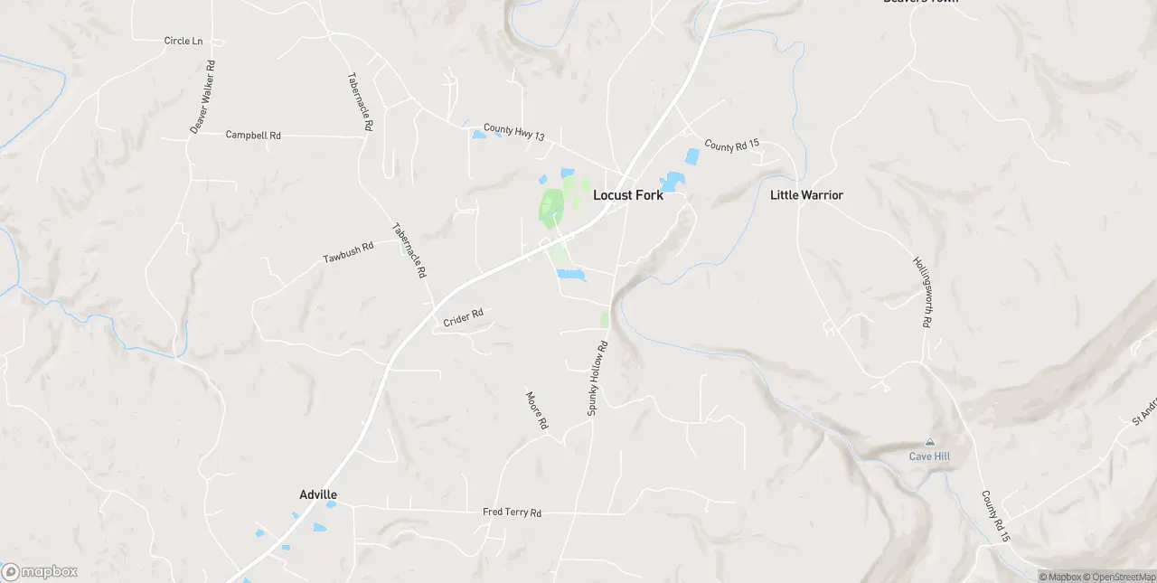 Internet in Locust Fork