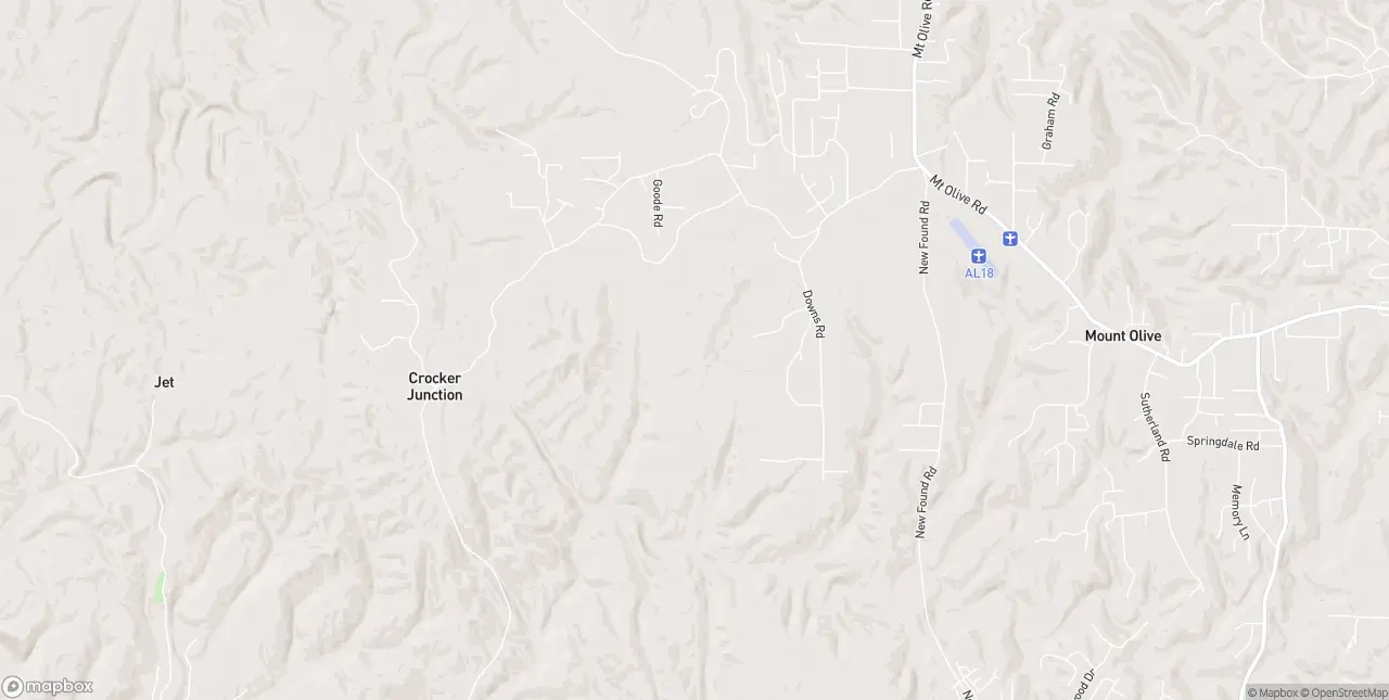 Internet in Mount Olive