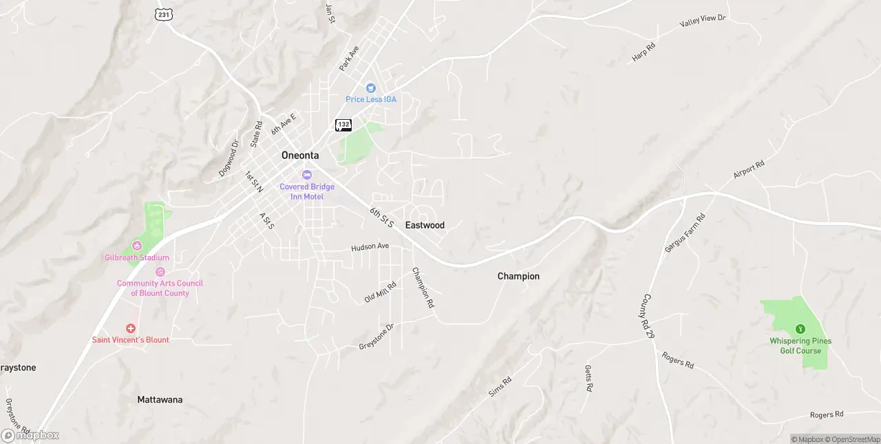 Internet in Oneonta