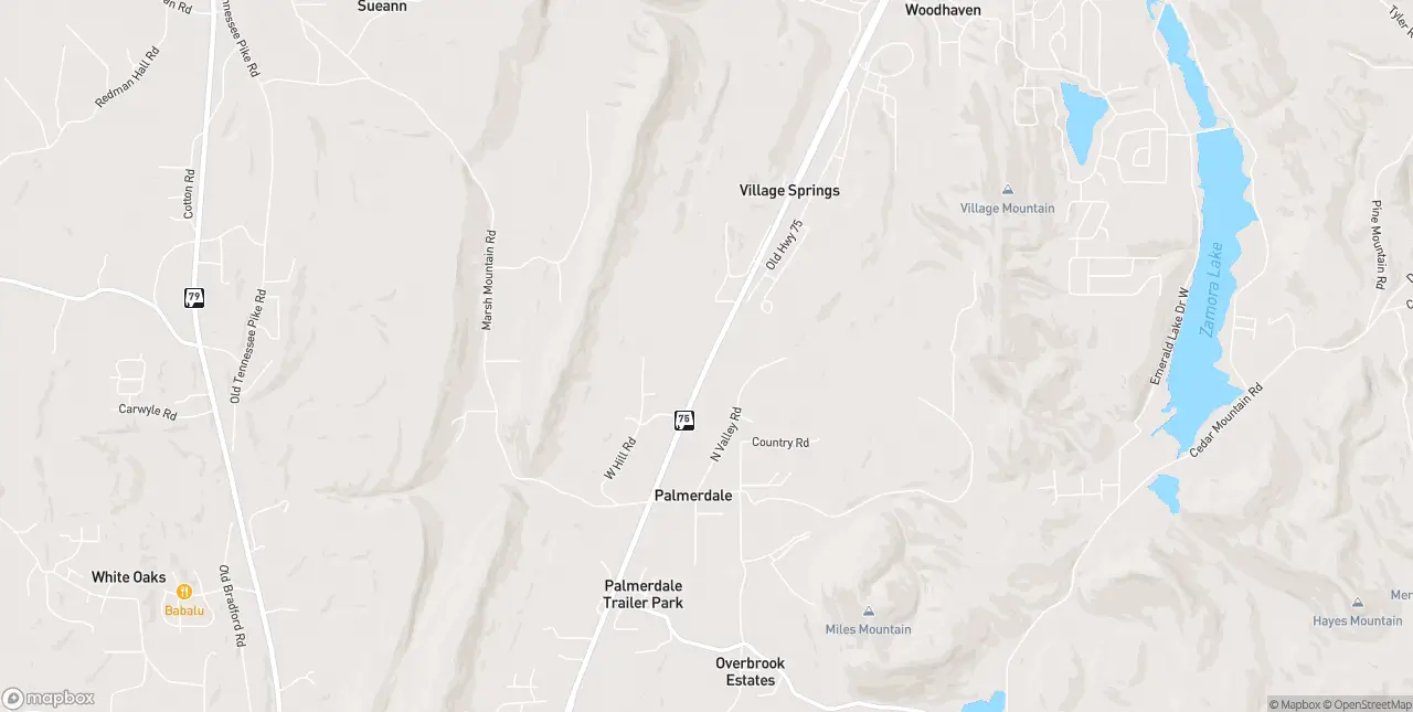 Internet in Palmerdale