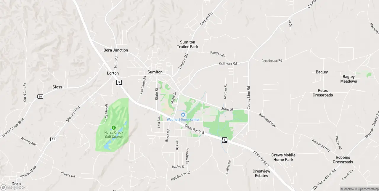 Internet in Sumiton