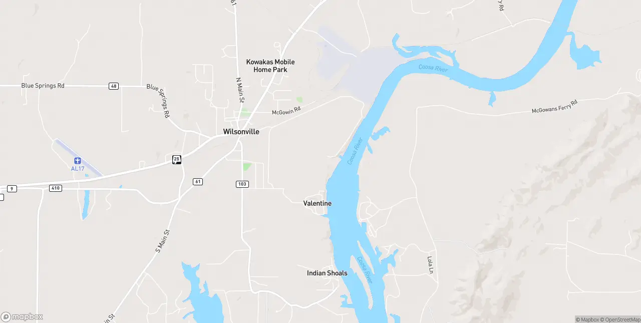 Internet in Wilsonville