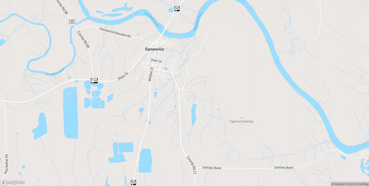 Internet in Gainesville