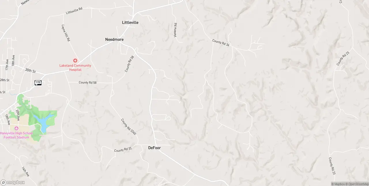 Internet in Haleyville