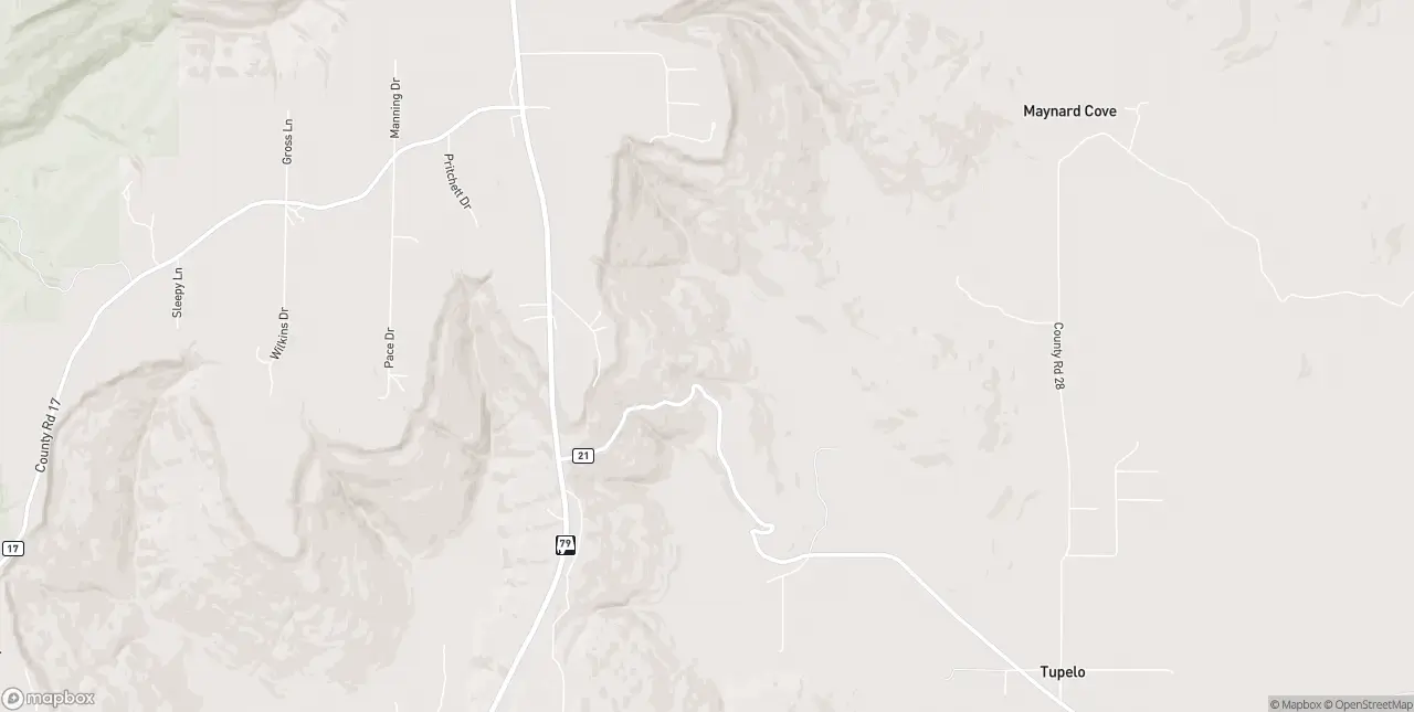Internet in Scottsboro
