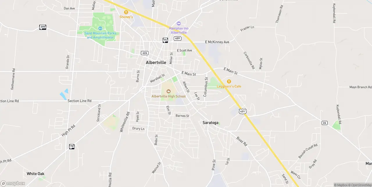 Internet in Albertville