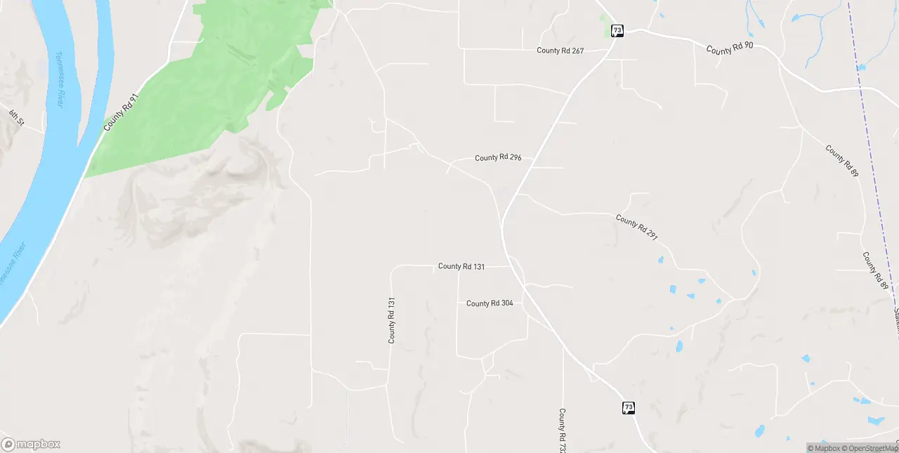 Internet in Bryant