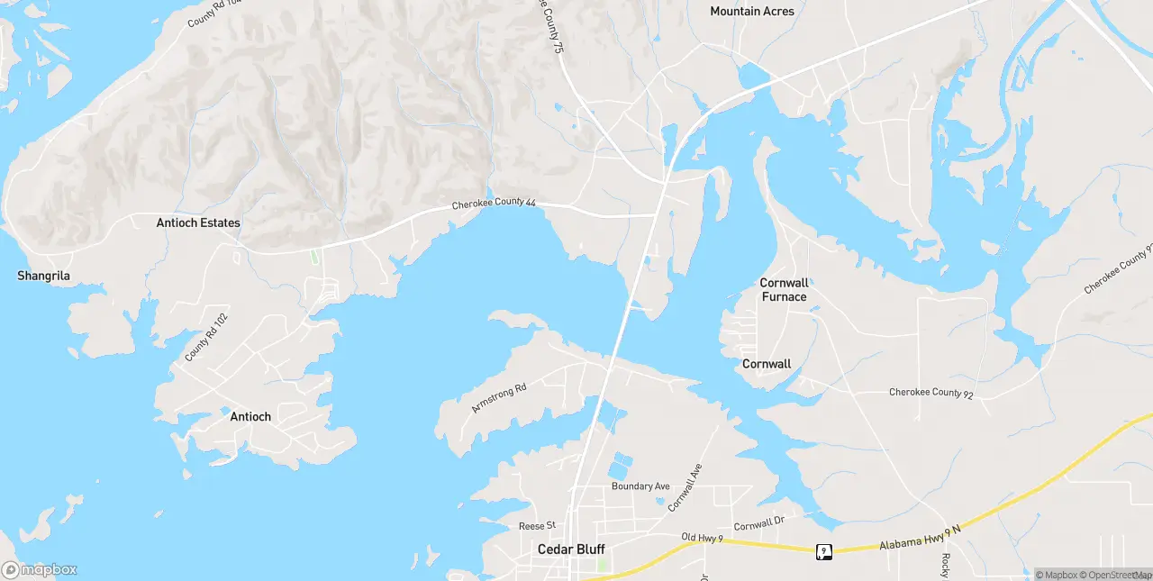 Internet in Cedar Bluff