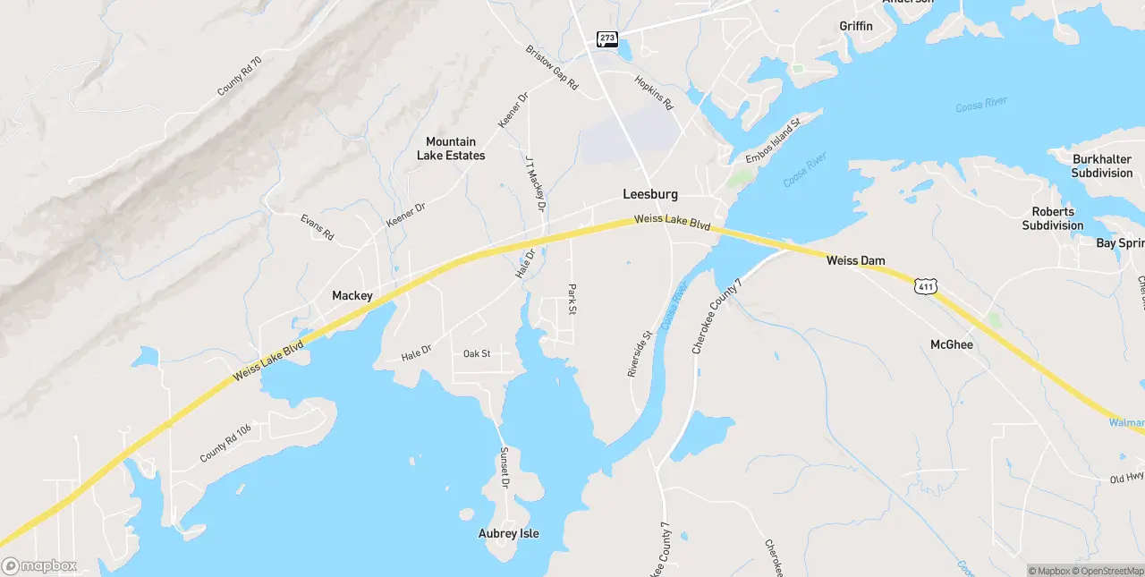 Internet in Leesburg