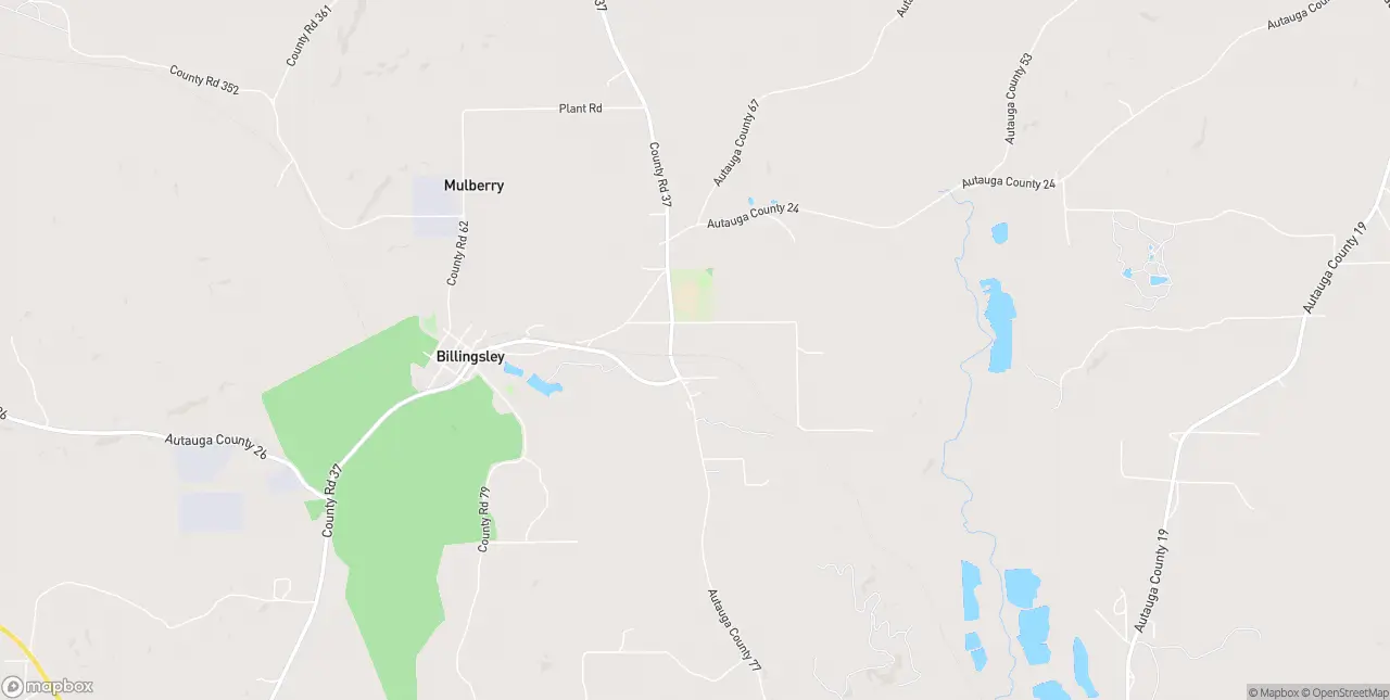 Internet in Billingsley