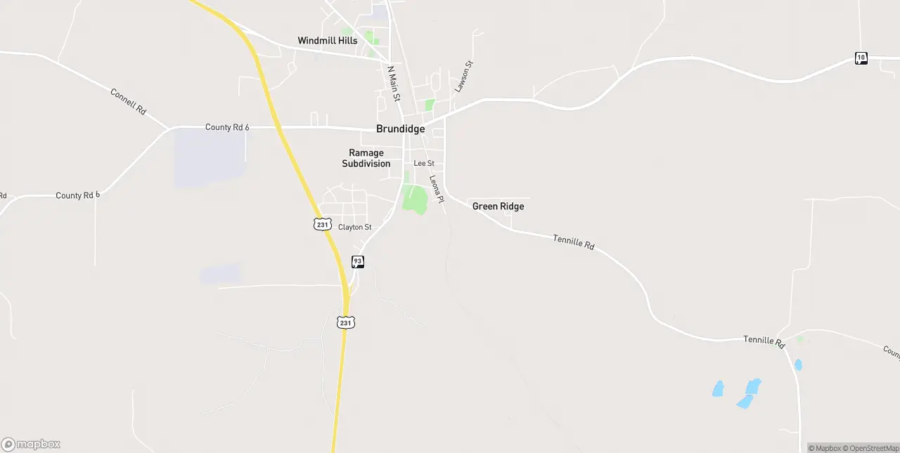 Internet in Brundidge