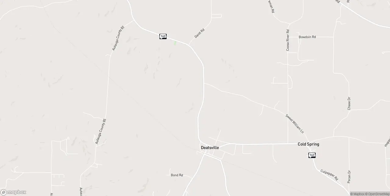 Internet in Deatsville