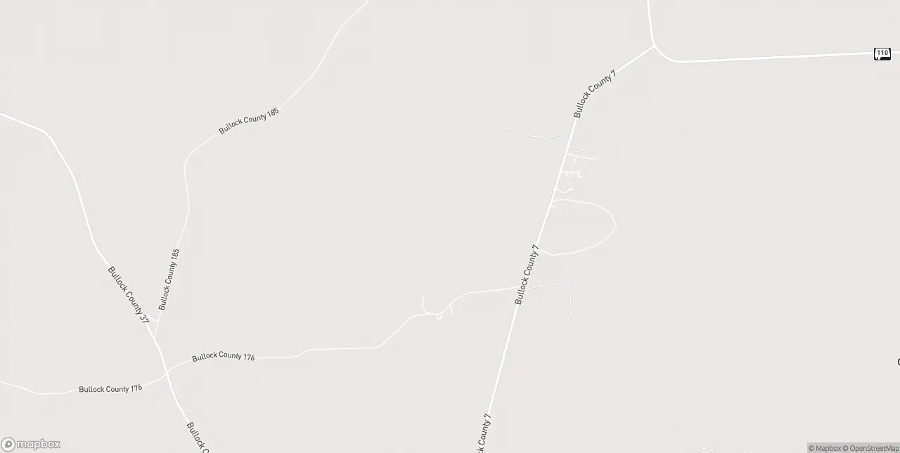 Internet in Fitzpatrick