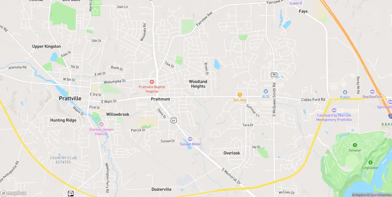 Internet in Prattville