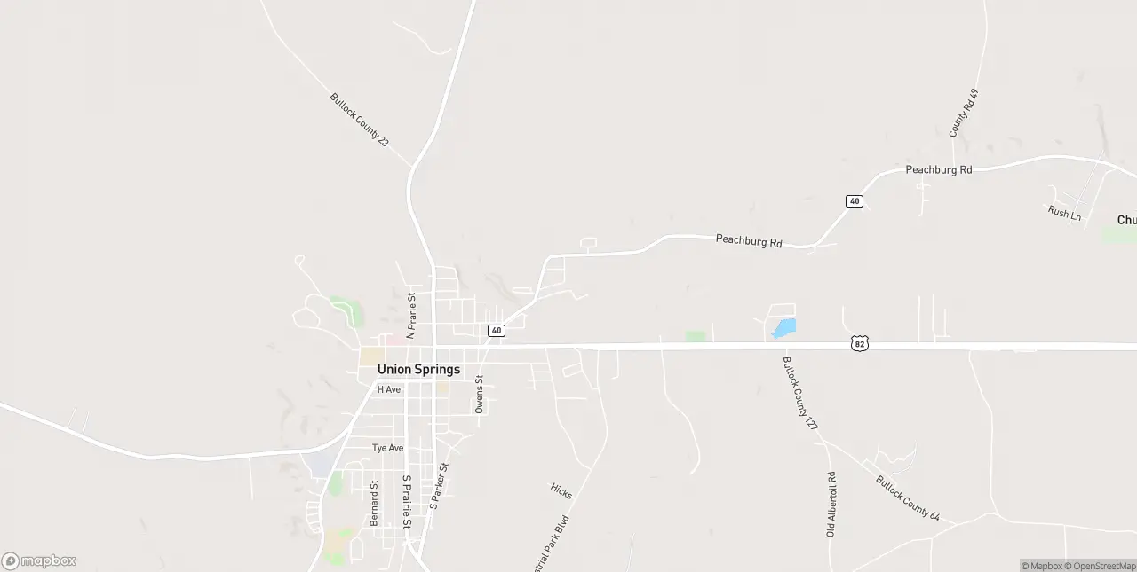 Internet in Union Springs